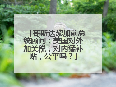 哥斯达黎加前总统顾问：美国对外加关税，对内猛补贴，公平吗？