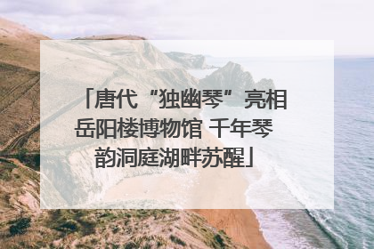 唐代“独幽琴”亮相岳阳楼博物馆 千年琴韵洞庭湖畔苏醒