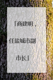 商建明，任盐城市副市长