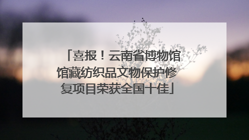 喜报！云南省博物馆馆藏纺织品文物保护修复项目荣获全国十佳