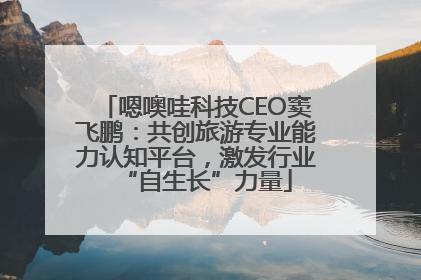 嗯噢哇科技CEO窦飞鹏：共创旅游专业能力认知平台，激发行业“自生长”力量