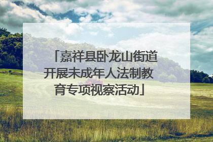 嘉祥县卧龙山街道开展未成年人法制教育专项视察活动