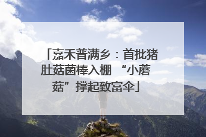 嘉禾普满乡：首批猪肚菇菌棒入棚 “小蘑菇”撑起致富伞