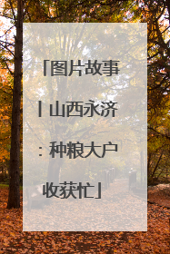 图片故事丨山西永济：种粮大户收获忙