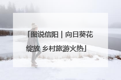 图说信阳｜向日葵花绽放 乡村旅游火热