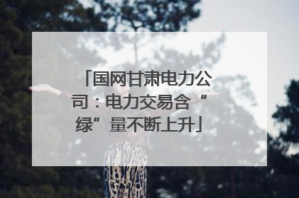 国网甘肃电力公司：电力交易含“绿”量不断上升