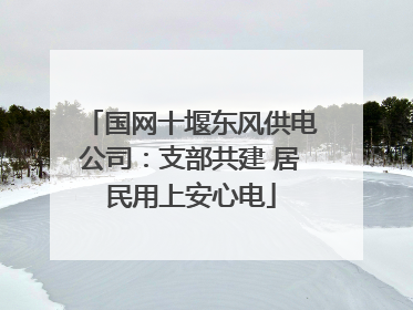 国网十堰东风供电公司：支部共建 居民用上安心电