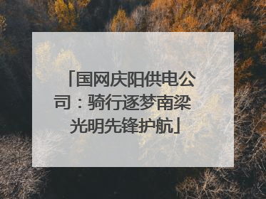 国网庆阳供电公司：骑行逐梦南梁 光明先锋护航
