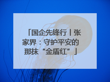 国企先锋行丨张家界：守护平安的那抹“金盾红”