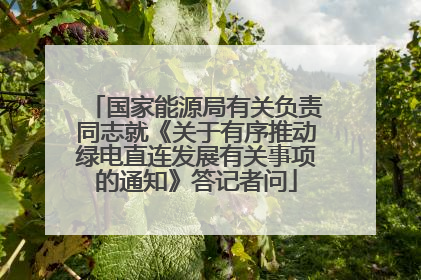 国家能源局有关负责同志就《关于有序推动绿电直连发展有关事项的通知》答记者问