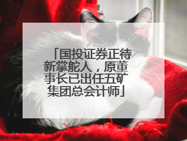 国投证券正待新掌舵人，原董事长已出任五矿集团总会计师