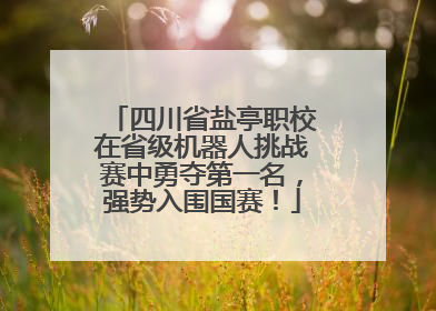 四川省盐亭职校在省级机器人挑战赛中勇夺第一名，强势入围国赛！