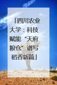 四川农业大学：科技赋能“天府粮仓”谱写稻香新篇
