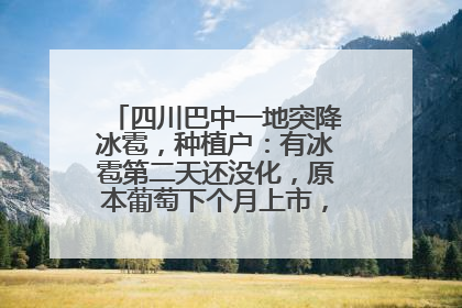 四川巴中一地突降冰雹，种植户：有冰雹第二天还没化，原本葡萄下个月上市，现在全被打落