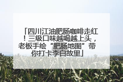 四川江油肥肠咖啡走红！三级口味越喝越上头，老板手绘“肥肠地图”带你打卡李白故里