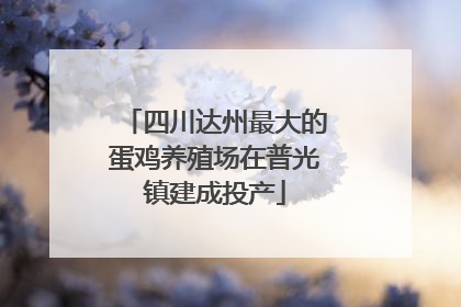 四川达州最大的蛋鸡养殖场在普光镇建成投产