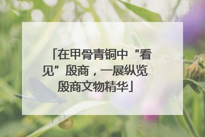 在甲骨青铜中“看见”殷商，一展纵览殷商文物精华