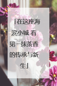 在这座海滨小城 看见一抹茶香的传承与新生