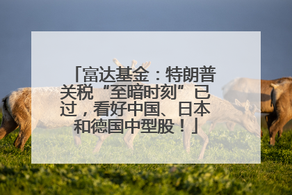 富达基金：特朗普关税“至暗时刻”已过，看好中国、日本和德国中型股！