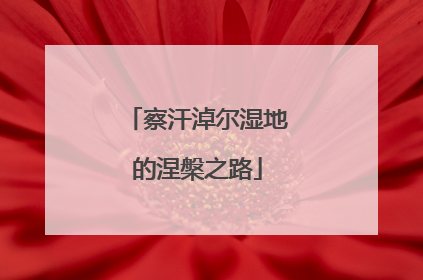 察汗淖尔湿地的涅槃之路