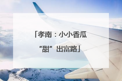 孝南：小小香瓜 “甜”出富路