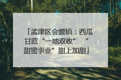 孟津区会盟镇：西瓜甘蔗“一地双收” “甜蜜事业”甜上加甜