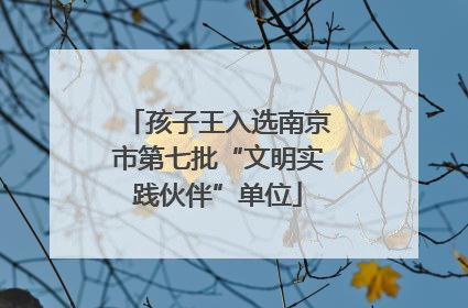 孩子王入选南京市第七批“文明实践伙伴”单位