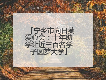 宁乡市向日葵爱心会：十年助学让近三百名学子圆梦大学