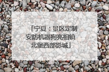 宁夏：景区定制安防机器狗亮相镇北堡西部影城