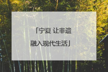 宁夏 让非遗融入现代生活