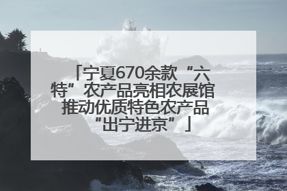 宁夏670余款“六特”农产品亮相农展馆 推动优质特色农产品“出宁进京”