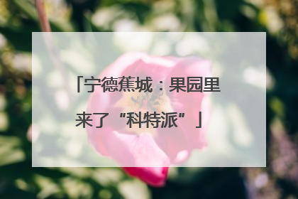 宁德蕉城：果园里来了“科特派”