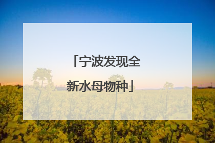 宁波发现全新水母物种