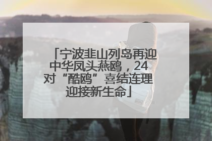 宁波韭山列岛再迎中华凤头燕鸥，24对“酷鸥”喜结连理迎接新生命