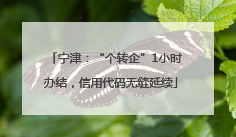 宁津：“个转企”1小时办结，信用代码无缝延续