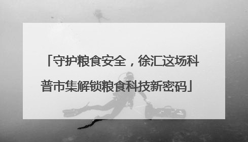 守护粮食安全，徐汇这场科普市集解锁粮食科技新密码