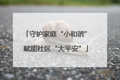 守护家庭“小和谐” 赋能社区“大平安”