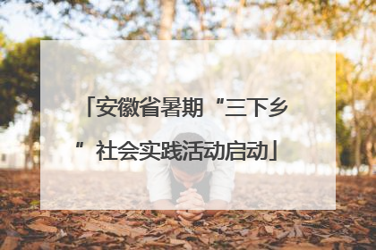 安徽省暑期“三下乡”社会实践活动启动