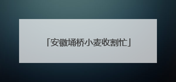安徽埇桥小麦收割忙