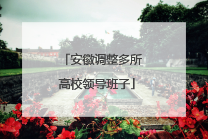 安徽调整多所高校领导班子