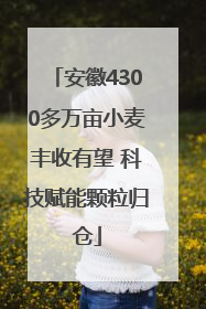 安徽4300多万亩小麦丰收有望 科技赋能颗粒归仓