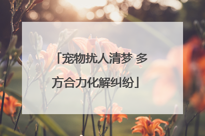 宠物扰人清梦 多方合力化解纠纷