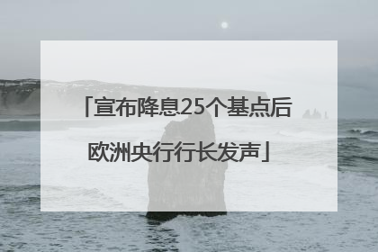 宣布降息25个基点后 欧洲央行行长发声
