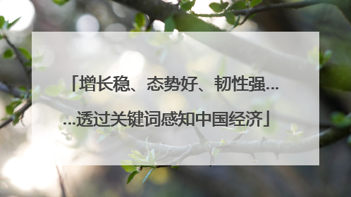 增长稳、态势好、韧性强……透过关键词感知中国经济
