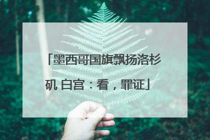 墨西哥国旗飘扬洛杉矶 白宫：看，罪证