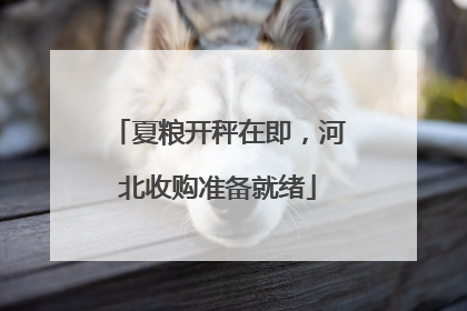 夏粮开秤在即，河北收购准备就绪
