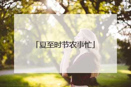 夏至时节农事忙