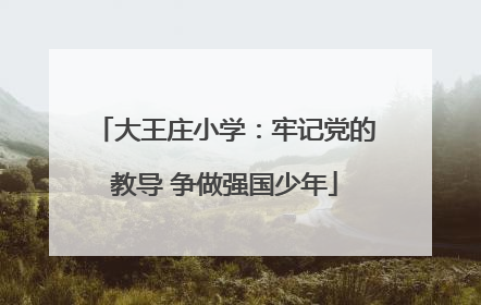 大王庄小学：牢记党的教导 争做强国少年