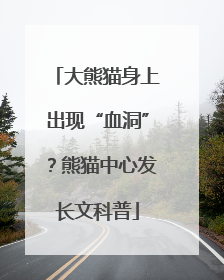 大熊猫身上出现“血洞”？熊猫中心发长文科普