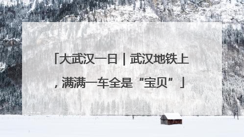 大武汉一日｜武汉地铁上，满满一车全是“宝贝”